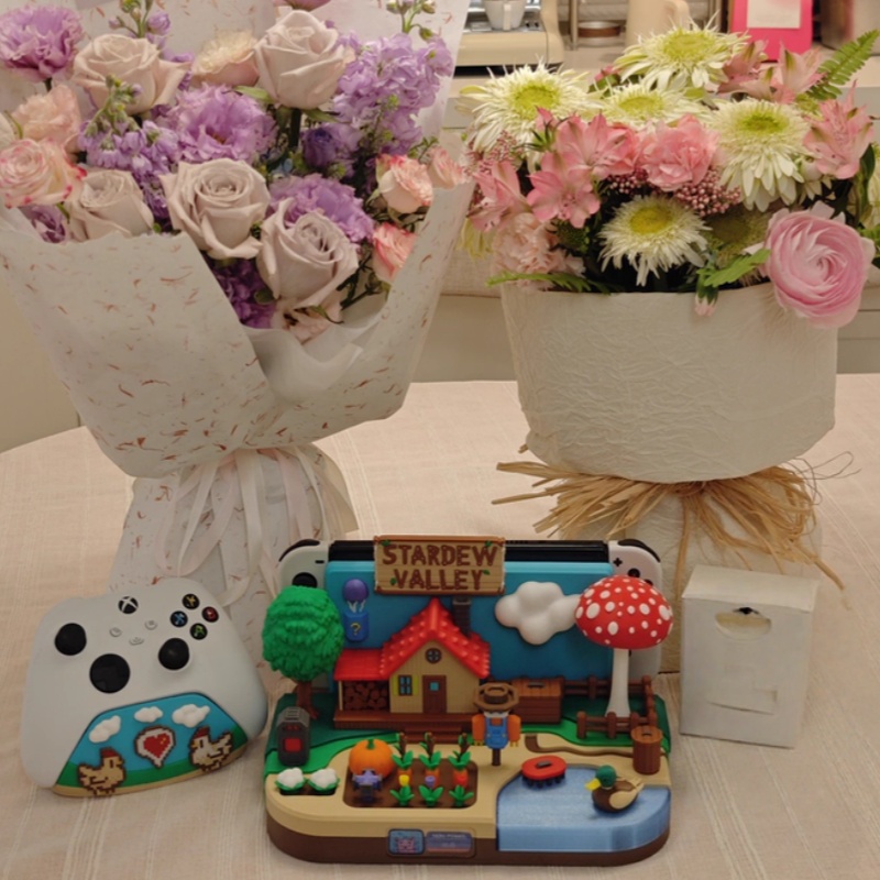 Switch Dock Stardew Valley Far - Gaming Console Stand avis et prix